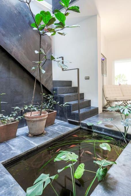 Apartment Elegante Duplex Centro Matahacas 1 Sevilla